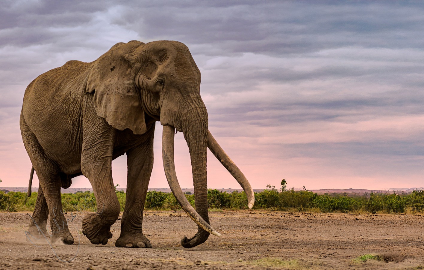 Get 10% off for your Safari now