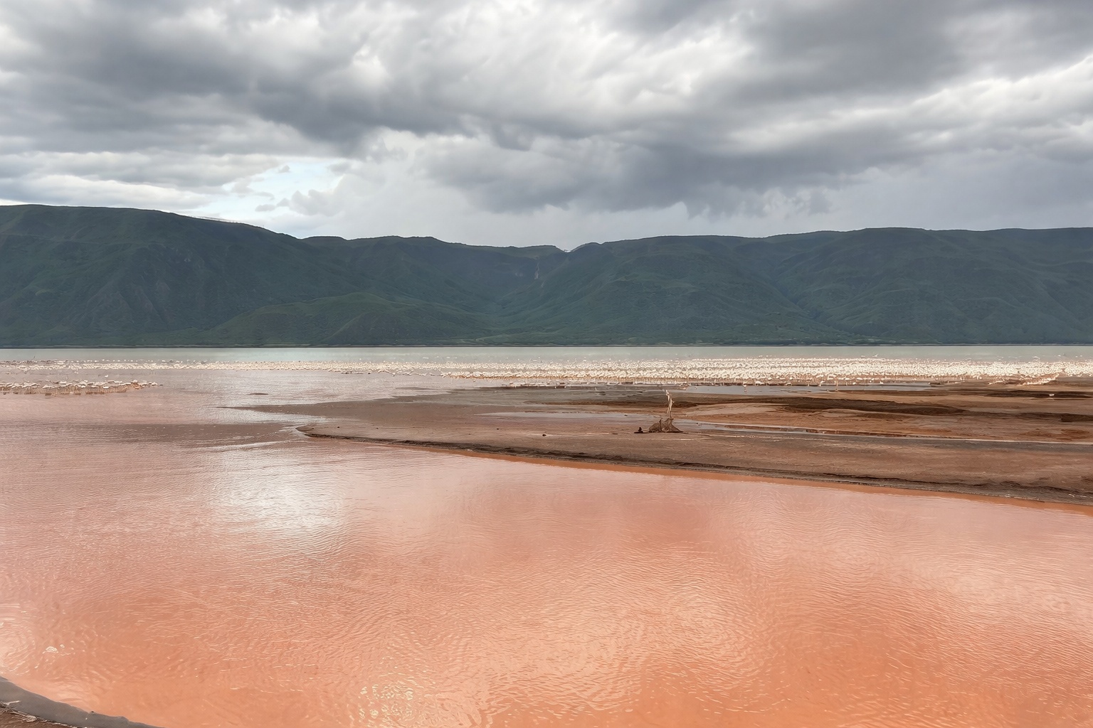 Best Time to Visit Kenya for a Safari Adventure