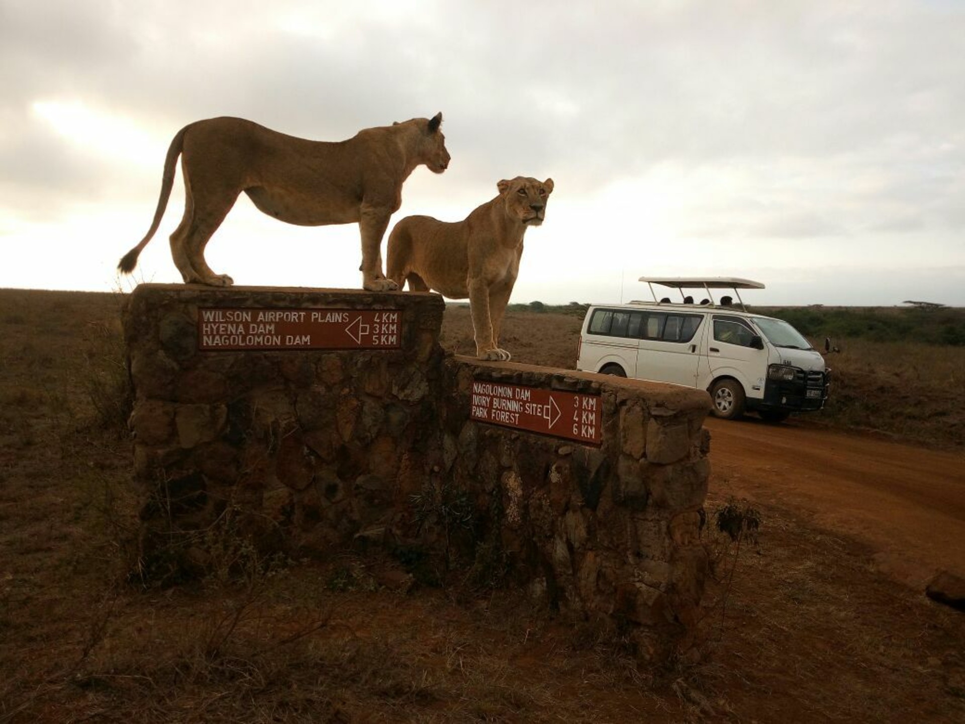 5-Days Maasai Mara and Lake Nakuru and Lake Naivasha  