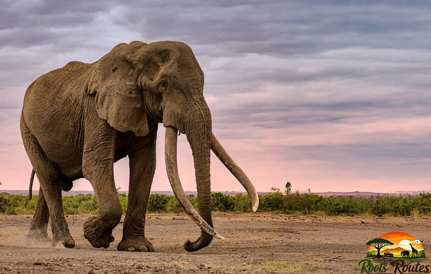 3-Days Amboseli and Tsavo East 