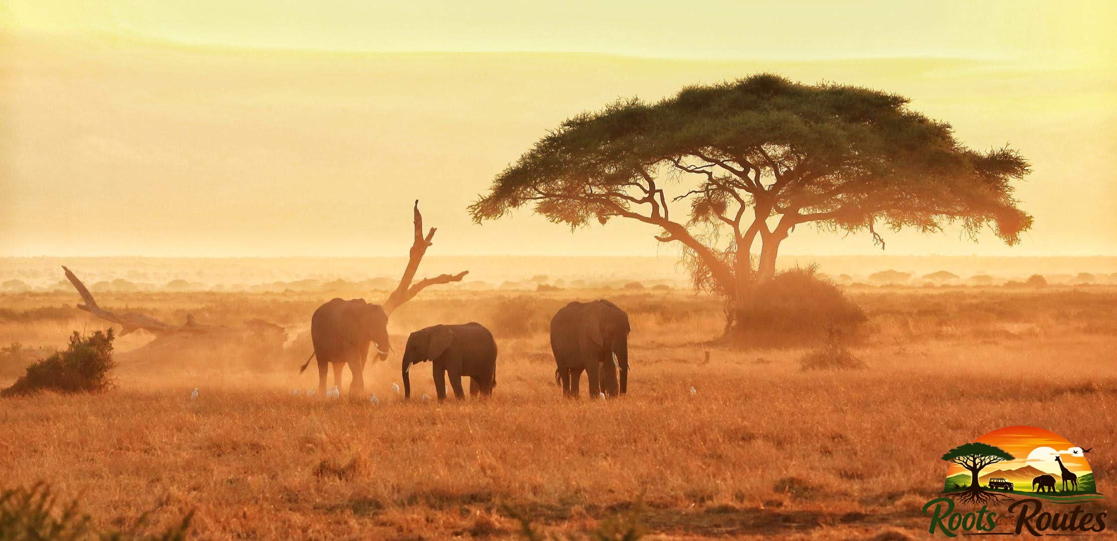 3-Days Amboseli 