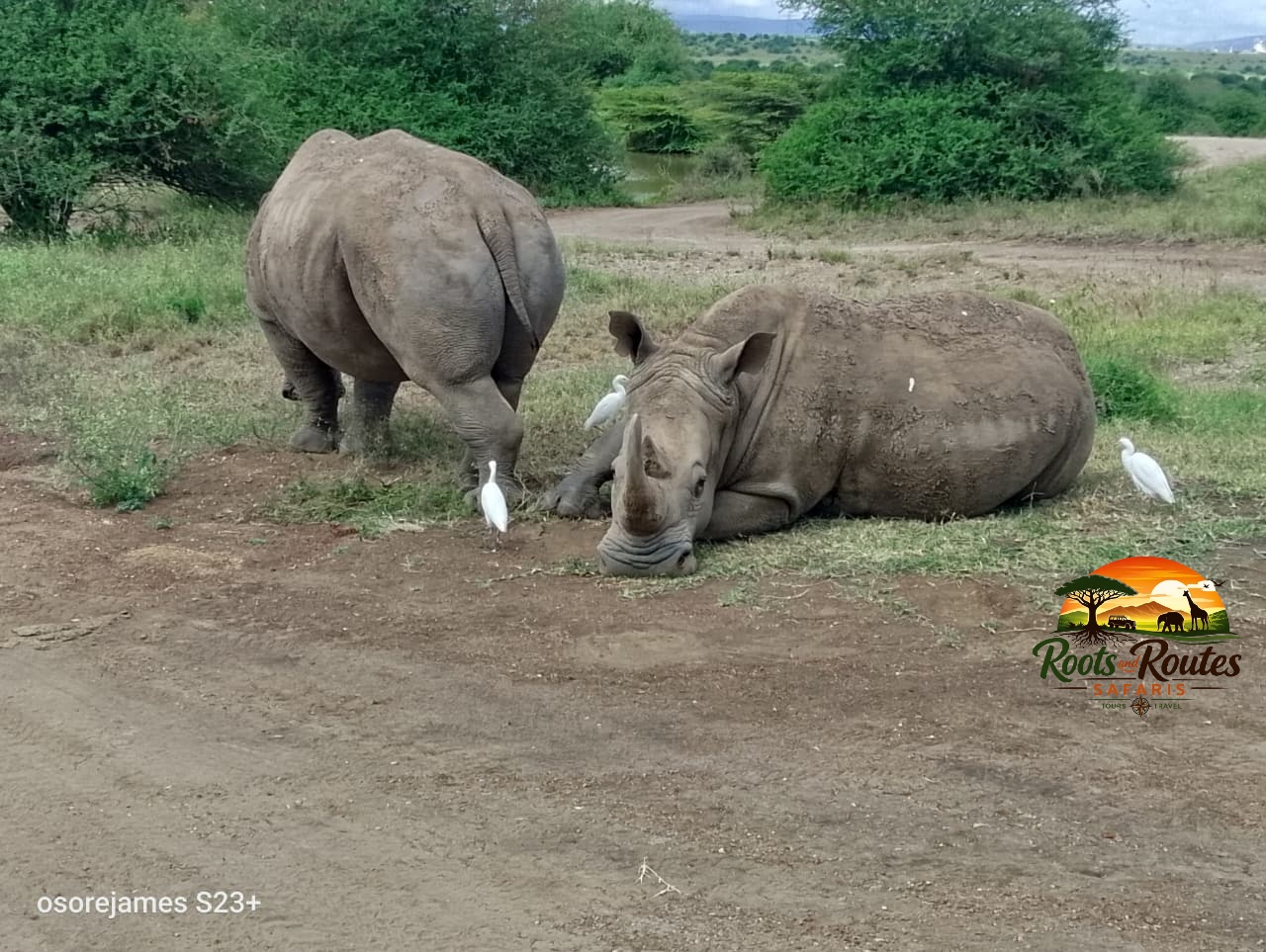 5-Days Maasai Mara and Lake Nakuru and Lake Naivasha  